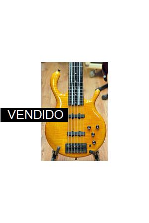 Pedulla Hexabuzz Pedulla Hexabuzz